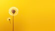  a dandelion sitting on top of a yellow table next to another dandelion on top of a yellow table next to another dandelion on a yellow table.