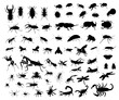 Big set of insect silhouettes. Vector illustration.