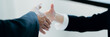 © mojo_cp - Job applicant handshake with recruiter employer after successful negotiations or interview.