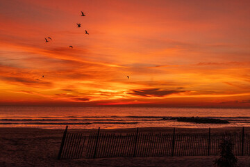 Wall Mural - Avon By the Sea, New Jersey - A flock of shore birds and seagulls silhouetted against the bright sunrise clouds over the Atlantic Ocean