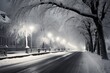 A black and white photograph capturing the beauty of a snowy street. This versatile image can be used for various purposes