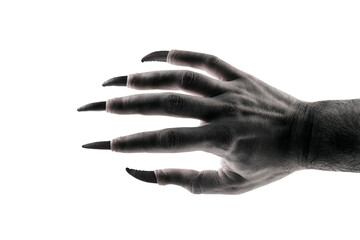 Wall Mural - Creepy monster hand with black claws isolated on white background with clipping path