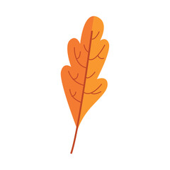 Wall Mural - isolated colored autumn seasonal leaf icon vector