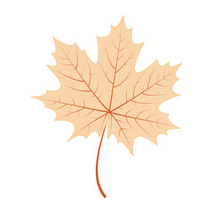Wall Mural - isolated colored autumn seasonal leaf icon vector