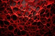 Behold an abstract tapestry in red, where lines weave intricate patterns reminiscent of cellular elegance, creating a harmonious ode to the microscopic world