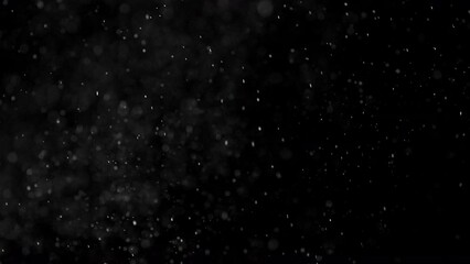 Wall Mural - Dust Particles Floating On Black Background. Dynamic Dust Particles Randomly Float In Space. Glittering Dust Particles With Bokeh on 4K Slow motion.
