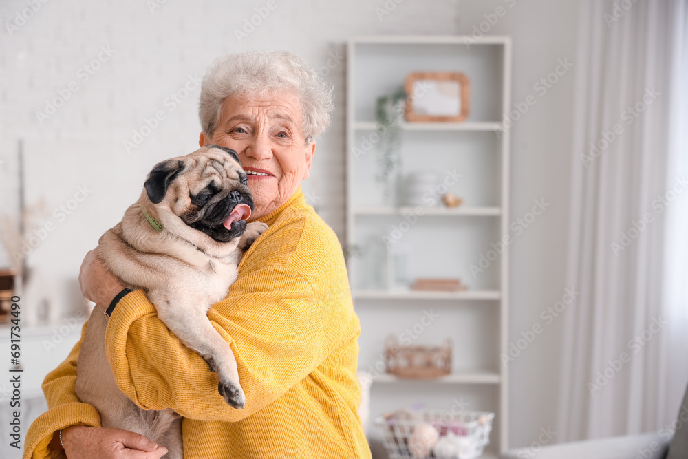 Senior woman with pug dog at home