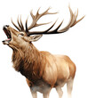 Watercolor Image of  Bull Elk, isolated on white . AI generated Illustration.
