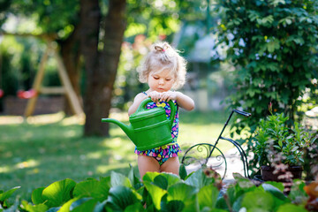 Wall Mural - Cute little baby girl in colorful swimsuit watering plants and blossoming flowers in domestic garden on hot summer day. Adorable toddler child having fun with playing with water and ca