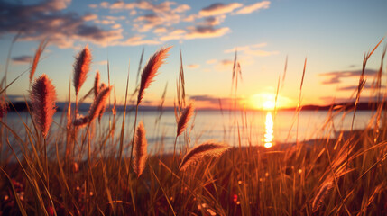 Wall Mural - Grass flower on sunset sky background. Summer and nature concept. Generative ai.