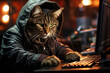© alter_photo - serious cat hacker working on the computer