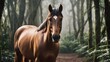 Portrait of a brown bay warmblood horse gelding running 