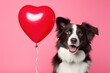 Adorable border dog with hear shape balloon. love and romance, valentine's concept, AI Generative