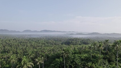 Poster - Aerial view of small island in the philippines