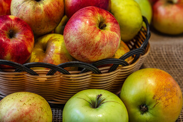 Wall Mural - ripe juicy red and green apples grown in a personal garden in a basket on burlap cloth close up