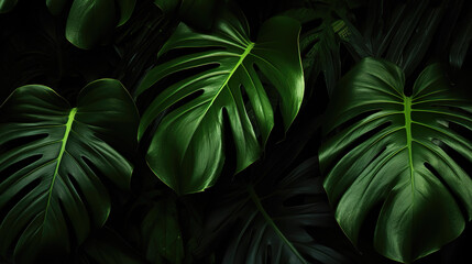 Wall Mural - green tropical leaves wallpaper, cloe shot style