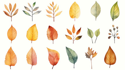 Sticker - set of watercolor autumn leaves isolated on white background