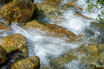 Dive into the refreshing embrace of wilderness! The crystal-clear waters of this forest river invite you to escape the daily grind and immerse yourself in nature's tranquility.