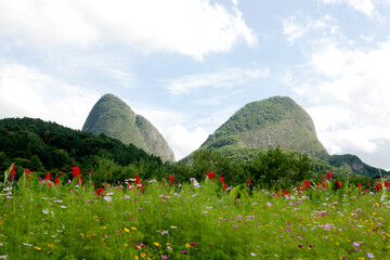 Sticker - landscape with flowers