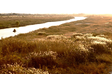 Sticker - riverfront view in autumn