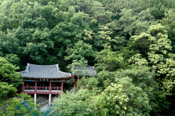 Sticker - pavilion in the forest