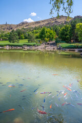 Wall Mural - lake view with reflection and green nature clouds blue water