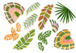 colorful tropical set isolated elements flowes and plants branches artsy watercolor gouache handrawn digital illustration cashew monstera leaf feather parrot palm pink embroidery leaves abstract
