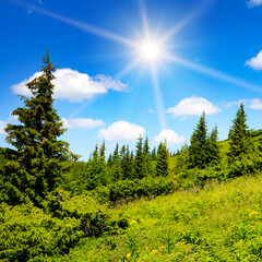 Wall Mural - High mountains and sun on sky