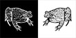  Illustration vector graphics of frog icon