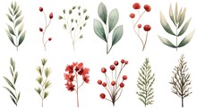Watercolor Christmas Floral Element Set. Winter Greenery Clipart For Greeting Card. Fir Branches, Red Berries, Eucalyptus Leaves, Pine Coin