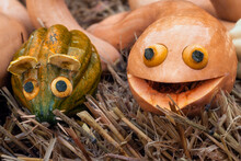 A Mouse And A Snake Created From Gourds