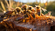 A Group Of Honey Bees Perched On A Hive