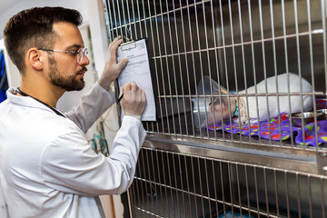 Veterinarian visits ill cat that is in cage and writes current state of health