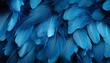 Blue feathers texture background  digital art with exquisite detail of majestic bird feathers