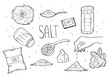 Salt sketch. Hand draw spice, vintage bowl spoon with sea salt powder. Food ingredients to cook, isolated pepper shaker vector illustration
