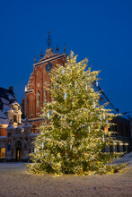 Decorated Christmas Tree In The Town Hall Square, The House Of The Blackheads On Background. Old Riga City, Latvia.
