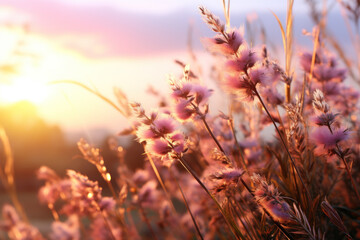 Wall Mural - a gentle breeze wafting through a sunflower field, carrying the sweet aroma of vibrant yellow blooms