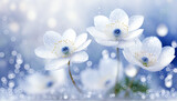 Fototapeta  - Kwiaty wiosenne, akrylowe płatki, kwitnący zawilec