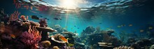 Underwater World Of Tropical Coral Reef, Colorful Tropical Scenic Ecosystem, Concept: Illustrations In Marine Biology And Conservation. Banner With Copy Space