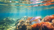 Under water Photography of Abalone