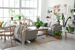 © Pixel-Shot - Interior of modern living room with grey sofas houseplants