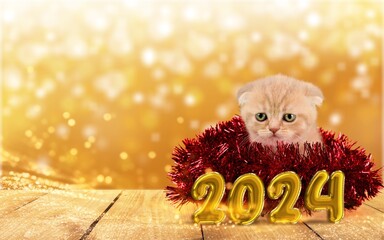 Poster - funny cute kitten 2024 new year