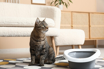 Wall Mural - Cute cat with litter box in living room