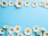 Fototapeta Krajobraz - White Daisy chamomile flowers on soft Blue background with copy space for text
