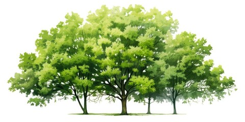 Canvas Print - A painting of a group of trees with vibrant green leaves. Perfect for nature enthusiasts and those looking to add a touch of greenery to their space