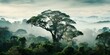 Sustainable Guardianship: South America's bold initiative for rainforest preservation and environmental harmony through eco-friendly practices and biodiversity conservation
