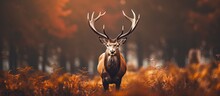 Autumn Rituals In Nature Red Deer Rut Confident Red Deer Stag With Large Antlers On An Open Field In The Forest Ready For The Mating Season Brushes His Coat. Copy Space Image
