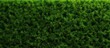 Artificial grass wall Artificial turf Thin green plastic. Copy space image. Place for adding text or design