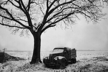 Wall Mural - 710-70 Old Truck with logs in Snow