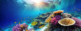 Fototapeta Do akwarium - Underwater serenity meets the vibrant flamboyant life of a coral reef. A split-view of an underwater scene showcasing the beauty of tropical aquatic life. Great barrier reef in Australia.
